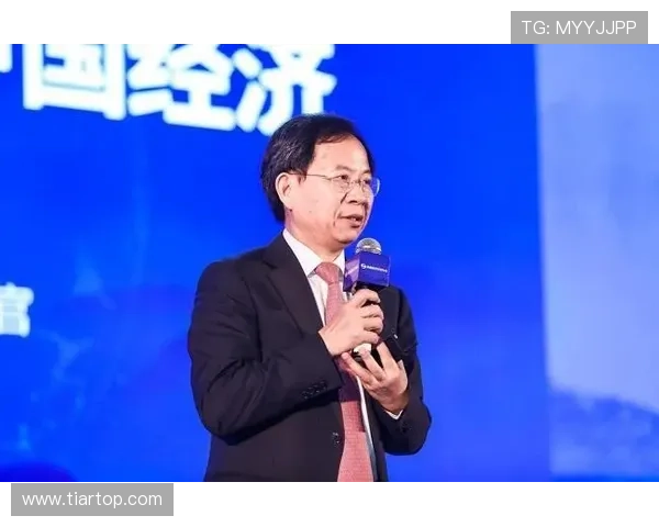 海南企业家引领产业创新与经济转型探讨推动区域发展新机遇