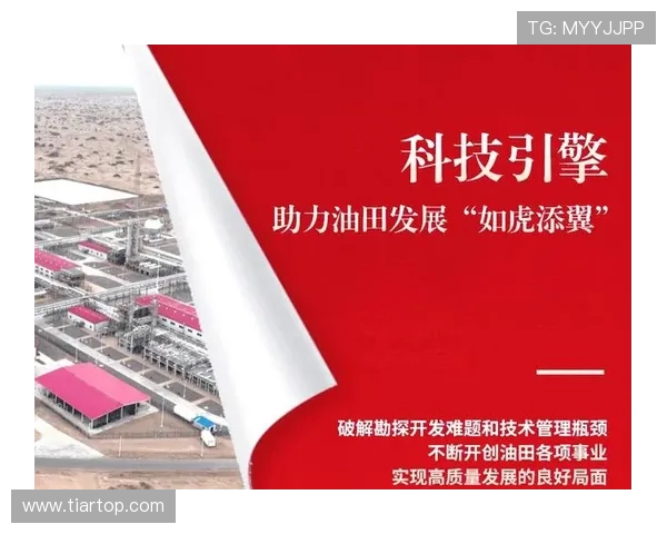 聚焦企业家奖激励创新精神推动高质量发展与产业升级协同路径探讨